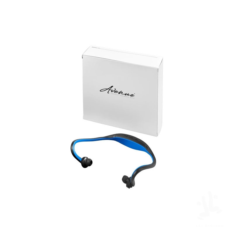 Sport wireless earbuds