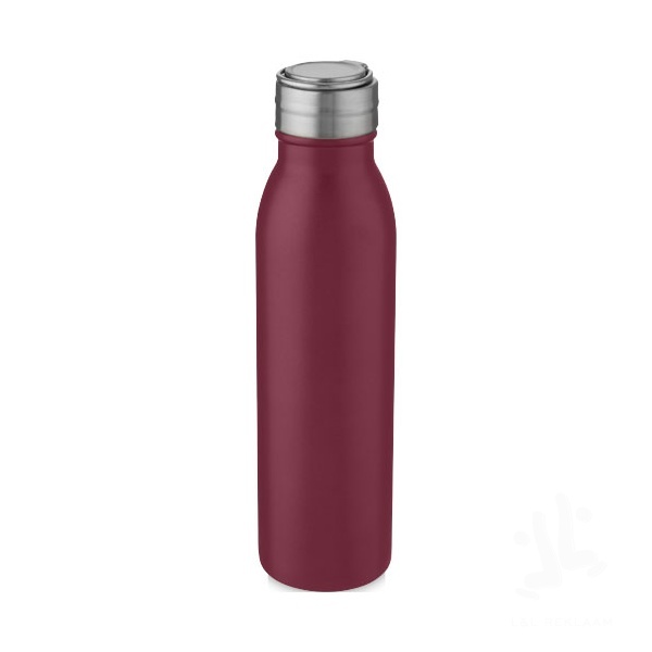 Harper 700 ml stainless steel water bottle with metal loop