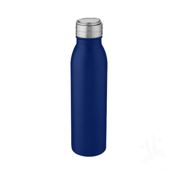 Harper 700 ml stainless steel water bottle with metal loop
