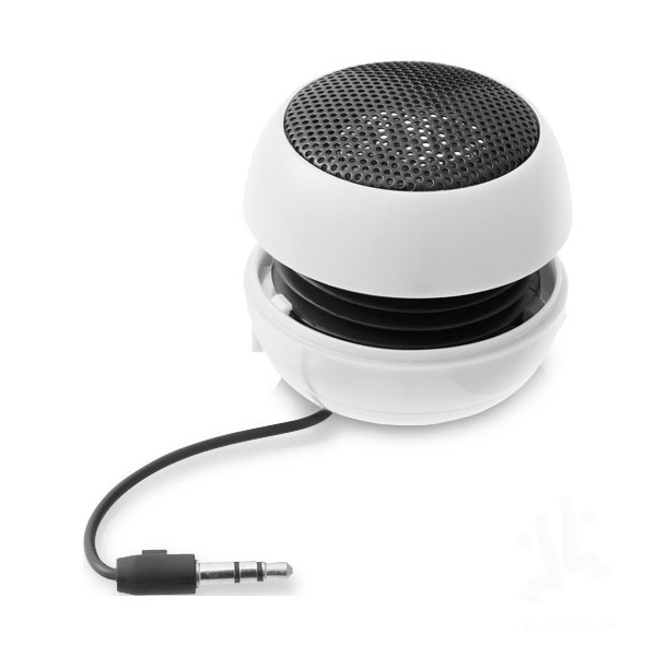 Ripple expandable speaker