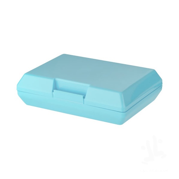 Oblong lunch box