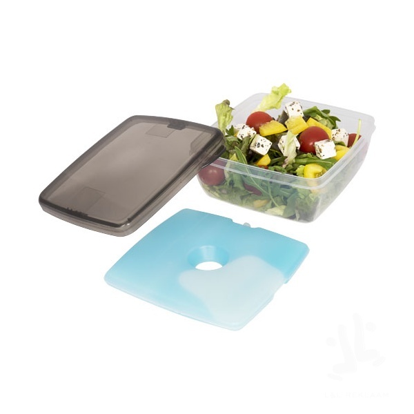 Glace lunch box with ice pad
