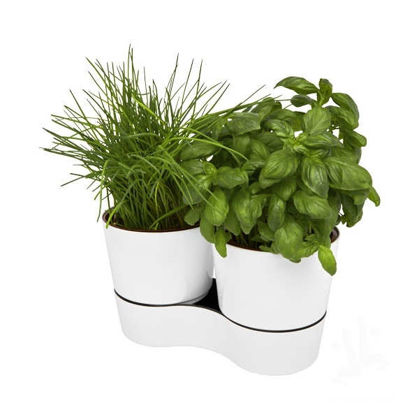 Herbs twin kitchen pot