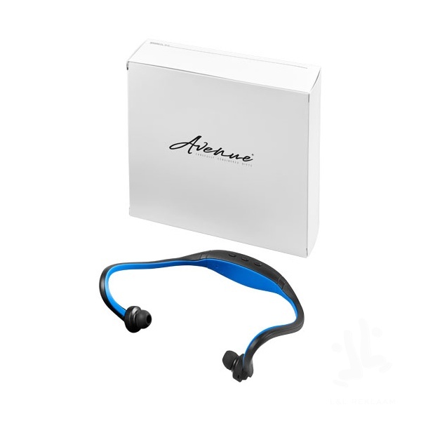 Sport wireless earbuds