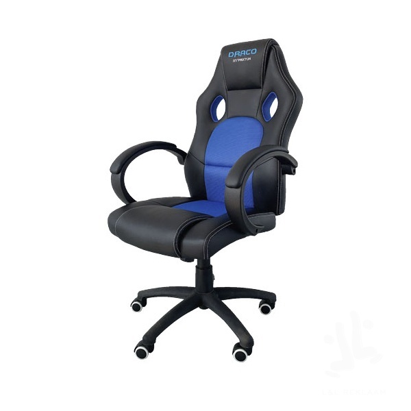1PA09690-Main