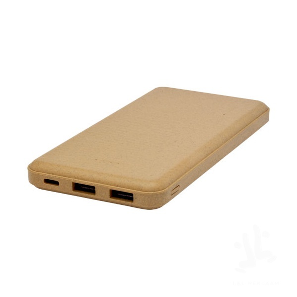 Eco powerbank 10000 mAh