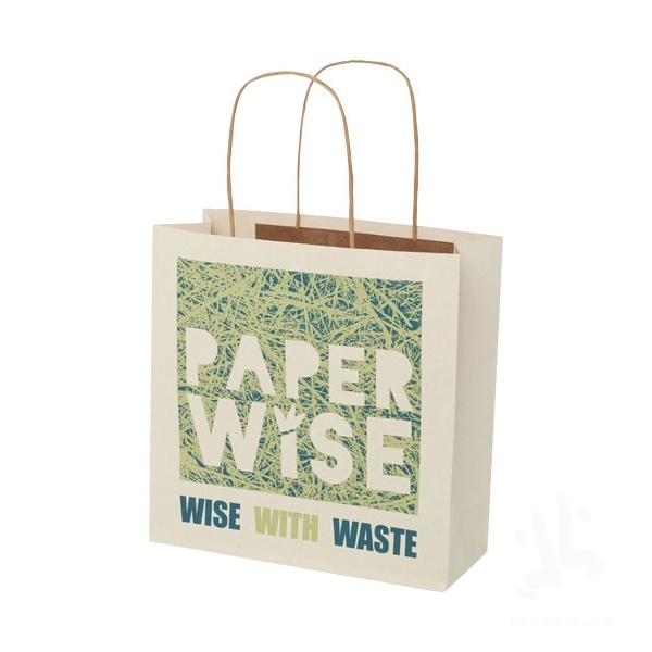 Agricultural waste paper bag with twisted handles - small