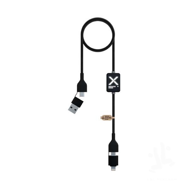 2PX21290-Main