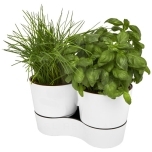 Herbs twin kitchen pot