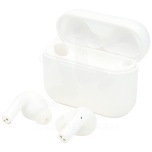 Braavos 2 True Wireless auto pair earbuds