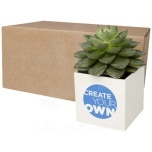 Hey Pots aluminium planted pot - cactus