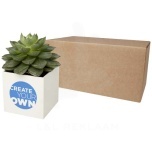 Hey Pots aluminium planted pot - succulent