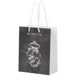 Handmade integra paper bag with plastic handles - medium
