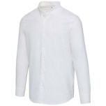Sphene oxford men's shirt