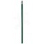Alegra pencil with coloured barrel