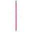 Alegra pencil with coloured barrel