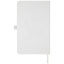 10781201-Back