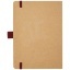 10781521-Back