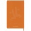 10793231-Back