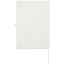 10796201-Back