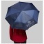 Alex 21.5" foldable auto open/close umbrella