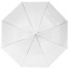 Kate 23" transparent auto open umbrella