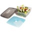 Glace lunch box with ice pad
