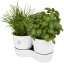 Herbs twin kitchen pot