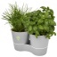 Herbs twin kitchen pot