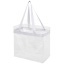 Hampton transparent tote bag 13L