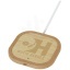 12431006-LogoY1