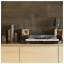 1PA11190-Mood1