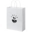 Kraft 80 g/m2 paper bag with twisted handles - medium