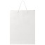 1ZB01101-Back
