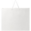 1ZB01201-Back