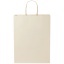 1ZM00501-Back