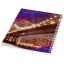 21292012-Back