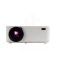 2PA03701-LogoY1