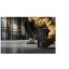 2PA16590-Mood2