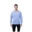 Surrey unisex crewneck sweater