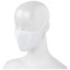Layton face mask