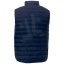 39437550-Back