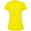 R04311C1-Back