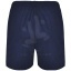 R04531R2-Back