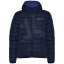 R50911R1-LogoY1